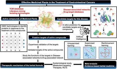 Editorial: Medicinal plants in the treatment of gastrointestinal cancers: How can OMICS and other advanced approaches help in understanding their mechanisms of action?